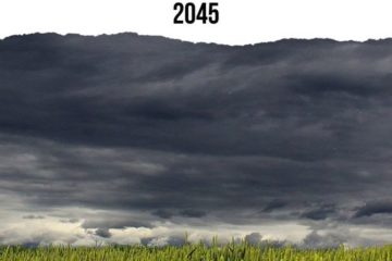 Dérèglement climatique : selon nouvelle étude, "Risque extrême" sur 71% de la production alimentaire en 2045